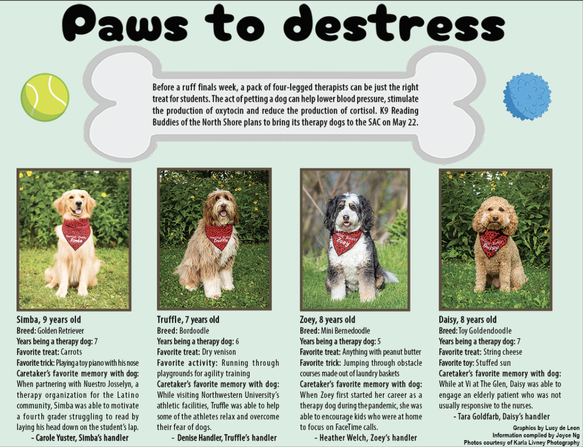 Paws to destress